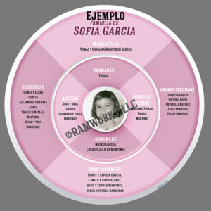 Family Ancestry Wheel – Spanish